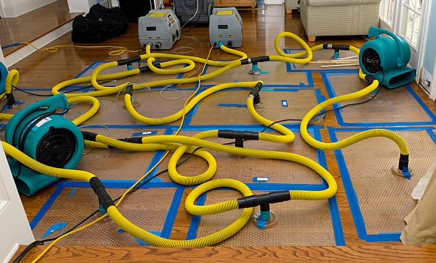 Professional Structural Drying And Dehumidification technician working in Salem, OH